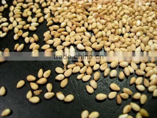 NATURAL SESAME SEED photo-2