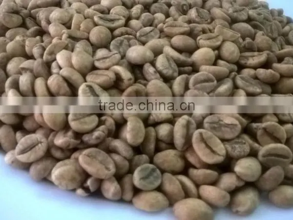 Manufacturer of Vietnam Wet Polished Robusta Green Coffee Beans Screen 18 photo-3