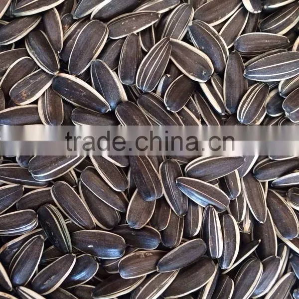 Chinese Sunflower Seeds 5009/0409/363