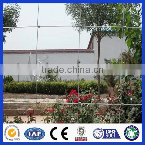 China Hot Sell Grassland Fencing/field Fence,Wovening Wire Netting ,Farm Filed Fence photo-4