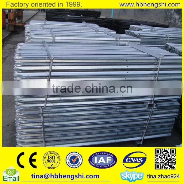 Hot Dipped Galvanized Grassland Post Professional Supplier photo-3