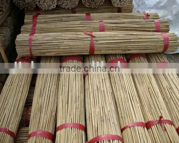 Bamboo Sticks/Tonkin Bamboo Sticks