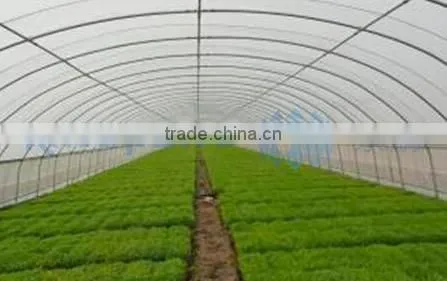 Wind Tunnel Growing Warm House