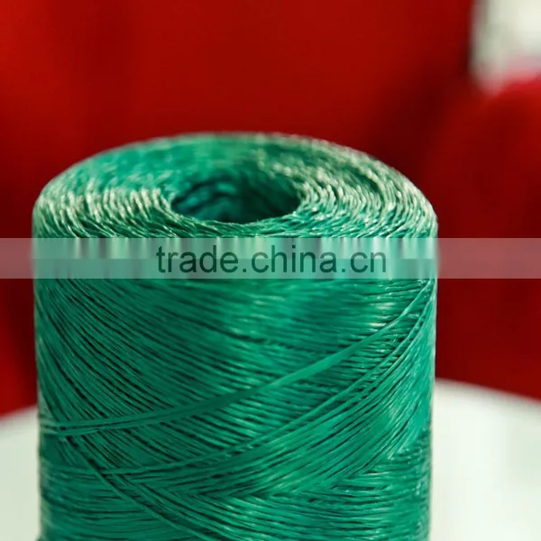 Anti Mildew PP Wrapping Twine photo-3