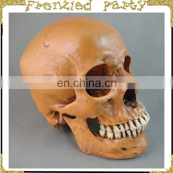 Wholesale Simulation Decorative Party Skull FGHS-0006 photo-3