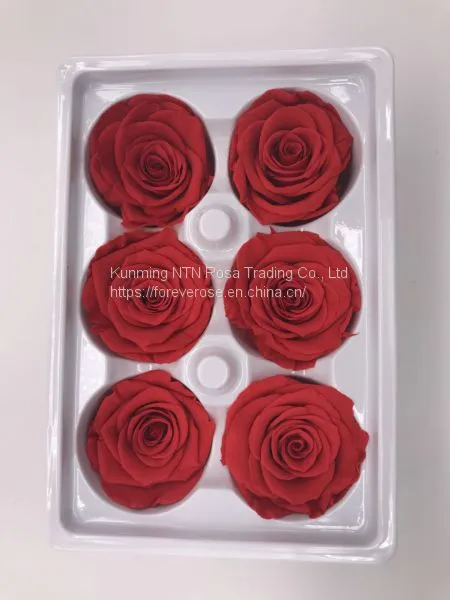Preserved Flowers Wedding Bridal Bouquets Natural Eternal Roses photo-5