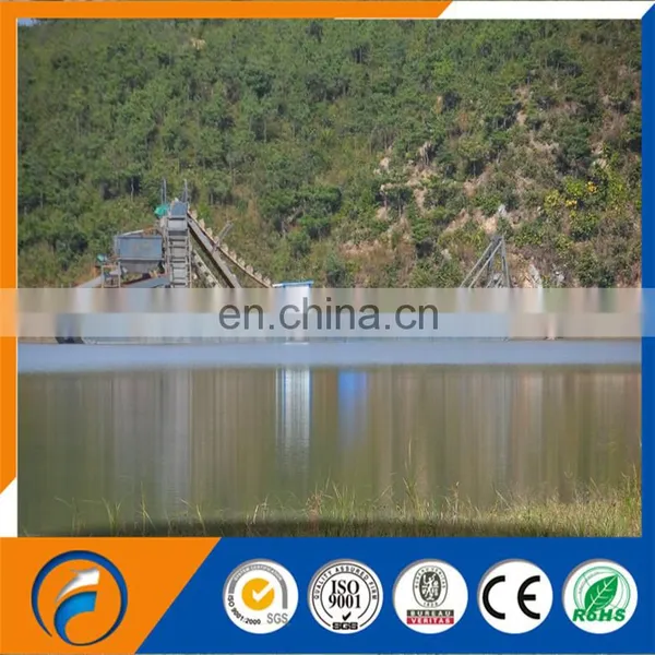 Qingzhou Dongfang Высококачественный золотоискатель