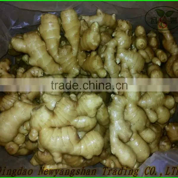(NEW) 2015 Fresh White Garlic From 4.0cm---6.0cm photo-5