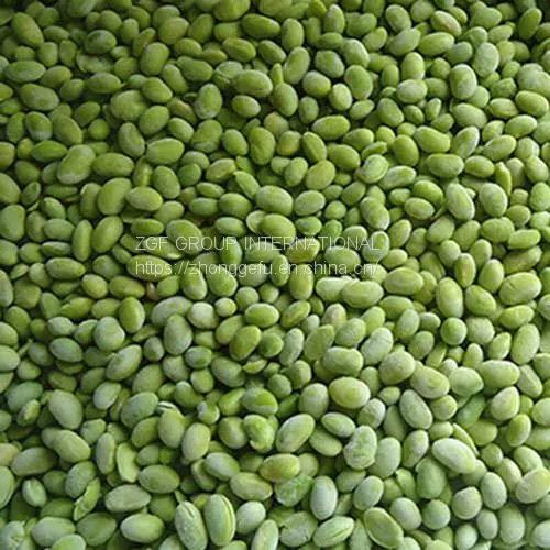 Frozen IQF Soybean Kernels photo-4