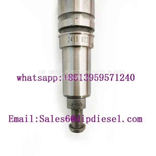 Diesel Pump Plunger / Element 2418455022 2455022