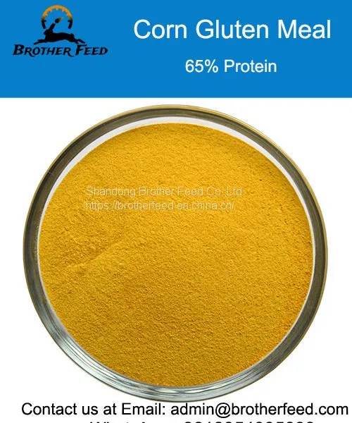 65% Protein Animal Feed Corn Gluten Meal for Sale Made in China