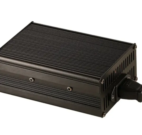 48V35A LiFePO4 Lithium Battery Charger for Electric Motorcycle Golf Cart E-Bike CE RoHS Certified