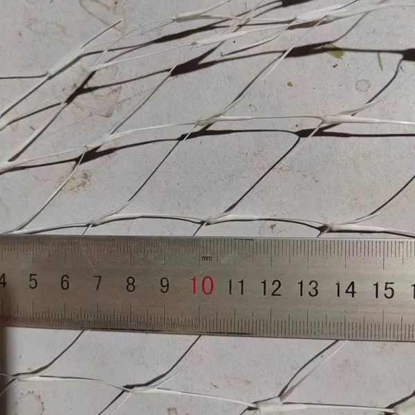 PLASTIC TUBULAR MESH NET for MUSSEL FARMING photo-4
