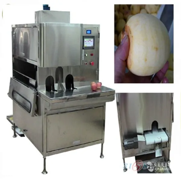 Mango Chips Mango Peeling Machine in Fruit Processing Line photo-6