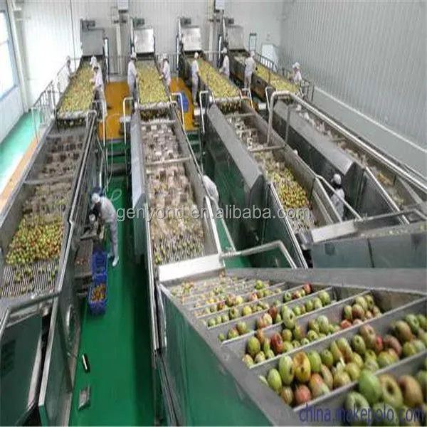 Factory Mini Apple Juice Production Line for Sale photo-3