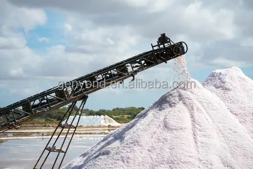 Lake Salt Processing Line Crude Salt Washing and Crushing Production Line photo-4
