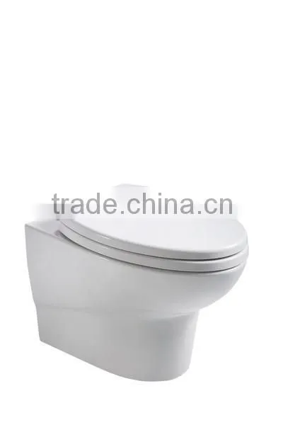 Wall-hung Toilet WD379 photo-5
