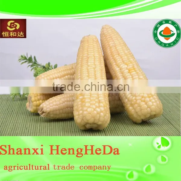 China Online Shopping With Certification Yellow Maize photo-3