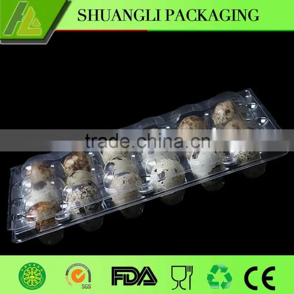 Plastic Quail Egg Tray photo-3