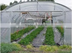 PE Agriculture Greenhouse Film photo-4
