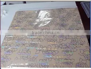 Ceiling Light Pvc Fence photo-3