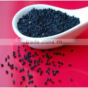 Yellow Onion Seeds photo-2