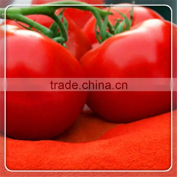 Tomato Paste With Drum Packing/Wooden Bins/Tin Packing photo-6