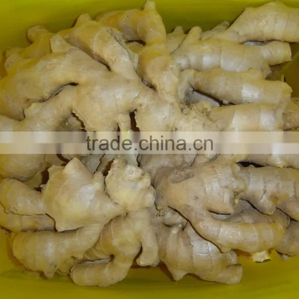 Chinese Fresh Ginger photo-4