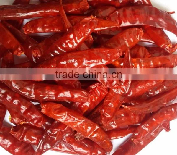 Exporters of Sanam Chilli/S 4 Chilli/S 334 Chilli photo-4