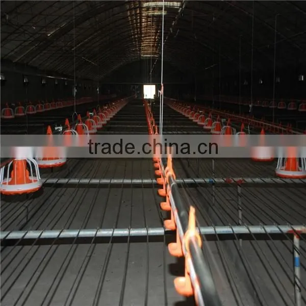 Chicken Broiler Raising Equipment photo-2