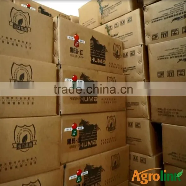 Produce Bulk High Grade Green Seaweed Extract photo-5
