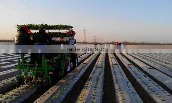 Chinese Hand Push Electrical Vegetable Seeder photo-6