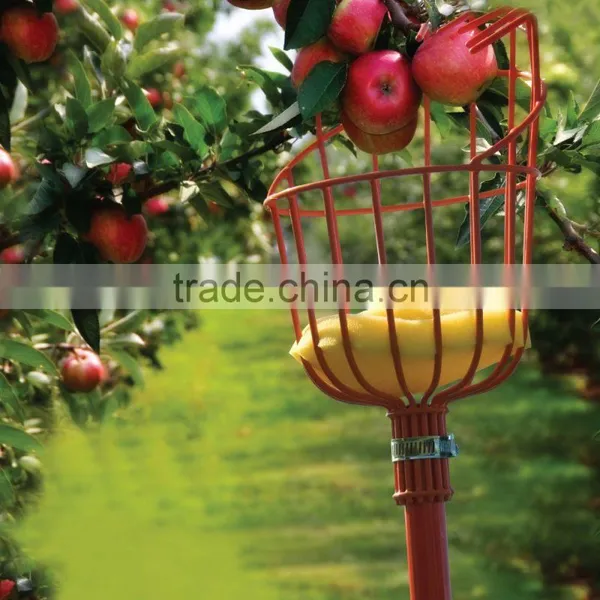 Factory Outlets Long Handle Telescoping Garden Tool Fruit Picking Device photo-6