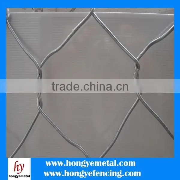 Chicken Wire Cage Mesh/Galvanized Square Chicken Wire Mesh/Fencing For Sale Chicken Wire photo-6