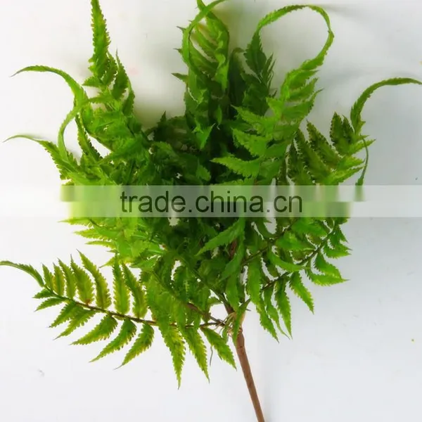 SJ3001022 Fake Boston Fern Craft photo-4
