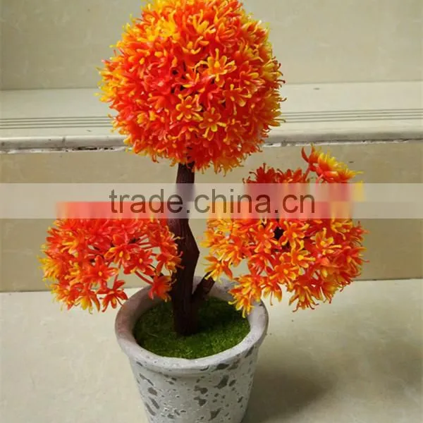 CHY060911 Guangzhou Shengjie High Quality Bonsai for Landscape photo-6