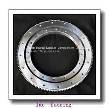 Construction Single Row Crossed Roller Slewing Bearing Manufacturer photo-2