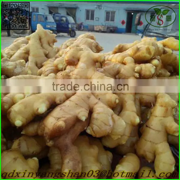 White Garlic,Normal White Garlic photo-5