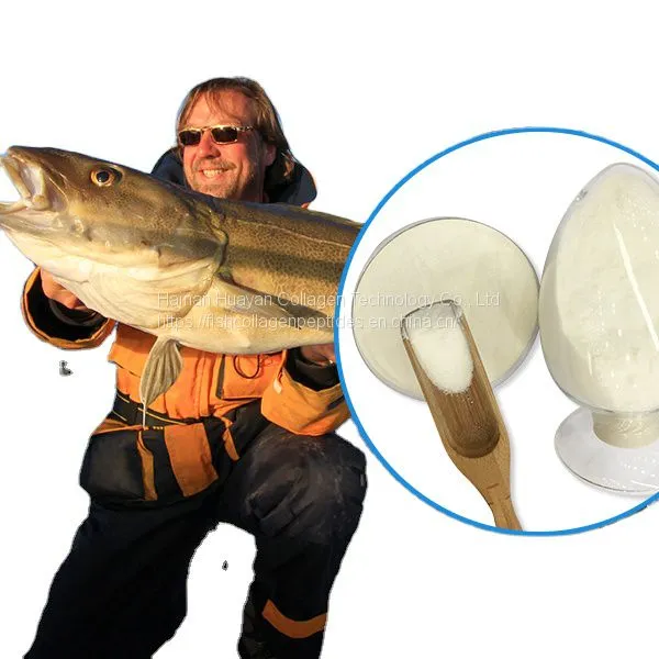 Factory Low MOQ Price OEM Fish Collagen Peptide Powder