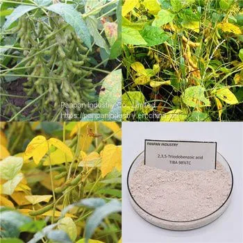Hot Sale Biochemicals Tiba 2 3 5triiodobenzoic Acid 98 tc Powder Tiba Good Product photo-3