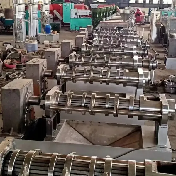 Multi Functional Screw Oil Press Machine With Oil Filtration System and Spare Parts photo-2