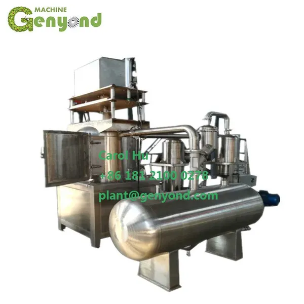 Small Fruit and Vegetables Okra Carrot Vacuum Frying Machine Malaysia photo-4
