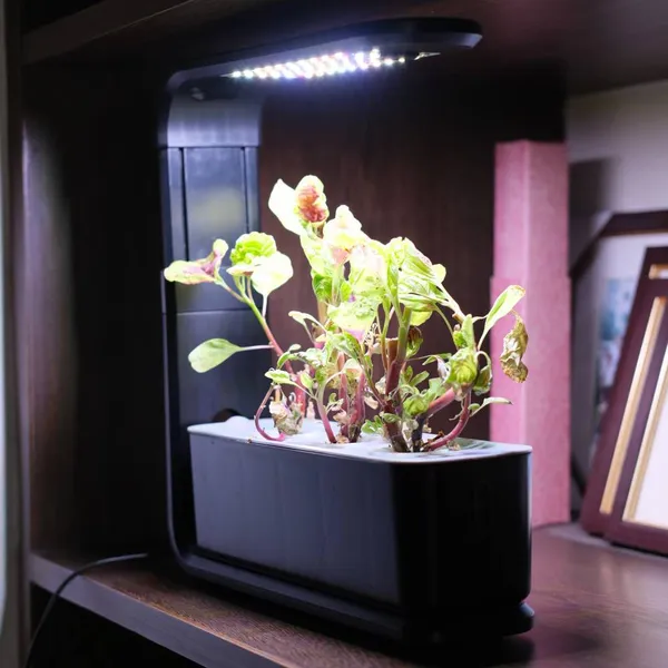 Festival Gifts, Birthday Gifts for Boys and Girls, Intelligent Light - Supplementing Flower Pot, Intelligent Plant Growing Machine, Indoor Plant Light - Supplementing Lamp, Lazy Flower Pot