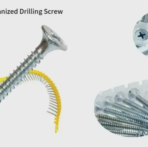 China Supply Quality Assured Collated Drywall Screws Black Phosphate Coarse Thread Plastic Strip, Compatible With All Major Screw Guns photo-4