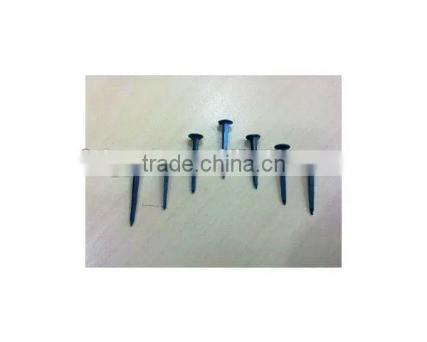 Blued Shoe Tack Nails photo-4