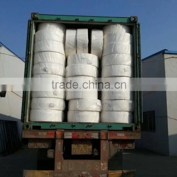 Uzbekistan Customer Visit Our Factory for pp Nonwoven Fabric Used for Baby Diaper photo-3