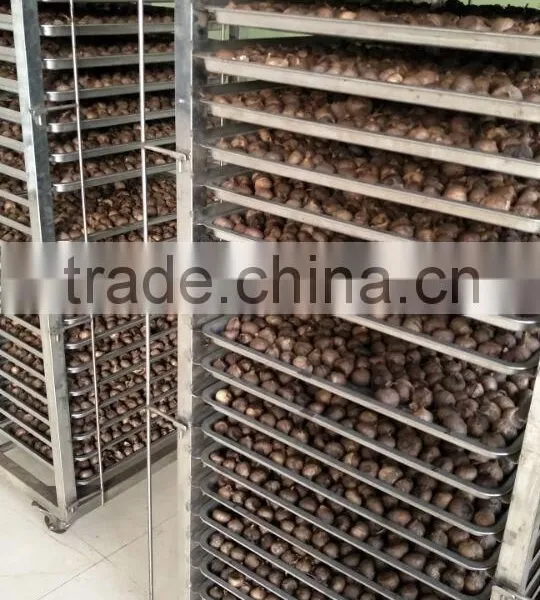 High Temperature Humidity Black Garlic Climatic Chamber Price photo-4