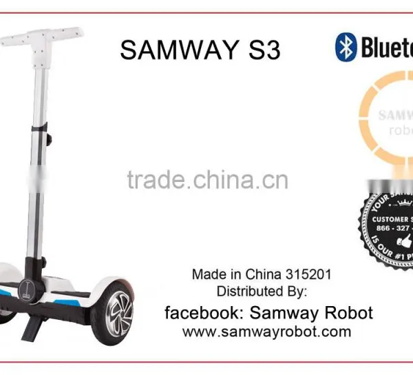Samway Robot Electric Mini Chariot Adult 2 Wheel Self Balancing Electric Chariot Scooter