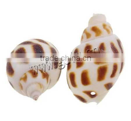 30-35mm Helix Natural Freshwater Shell Pendants