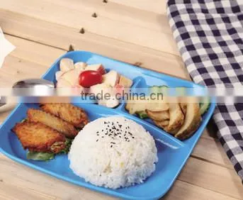 Hot Sale BPA Free 9" Silicone Baby Divided Plate photo-5